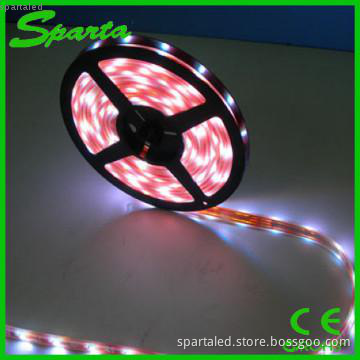 DC12V SMD5050 White Waterproof Flexible LED Strip Light 60leds/m IP65